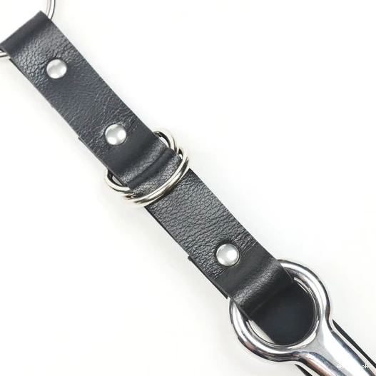 5853 Hook EverydayUse and with Anal Kinky Collar Leash 0614